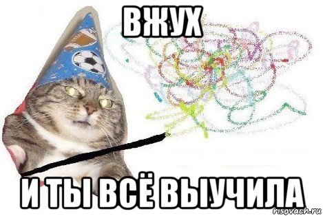 вжух и ты всё выучила, Мем Вжух