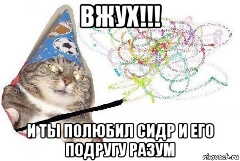 вжух!!! и ты полюбил сидр и его подругу разум, Мем Вжух