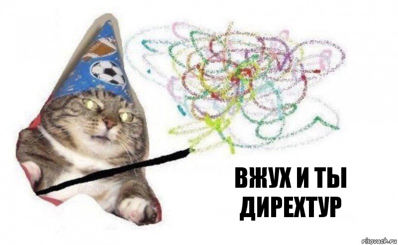 вжух и ты дирехтур