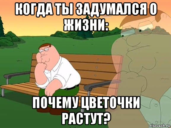 когда ты задумался о жизни: почему цветочки растут?, Мем Задумчивый Гриффин