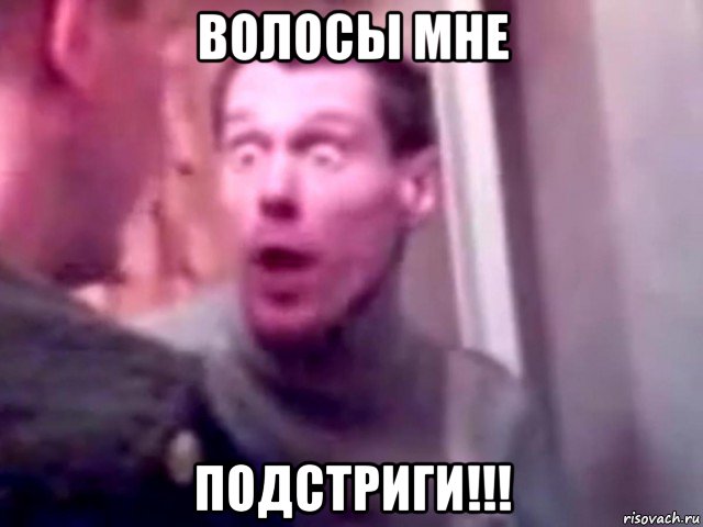 волосы мне подстриги!!!, Мем Запили