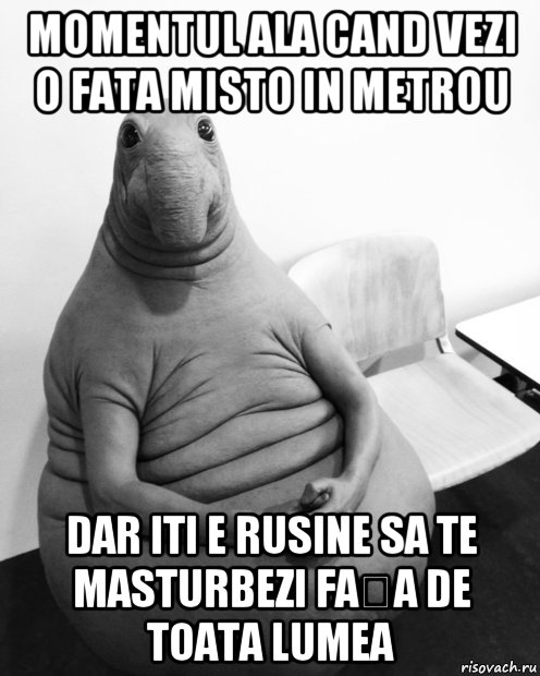 momentul ala cand vezi o fata misto in metrou dar iti e rusine sa te masturbezi fața de toata lumea