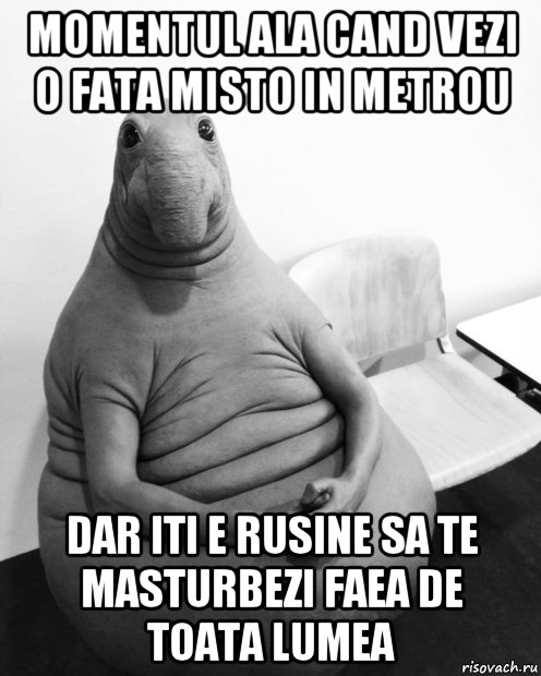 momentul ala cand vezi o fata misto in metrou dar iti e rusine sa te masturbezi faеa de toata lumea, Мем  Ждун