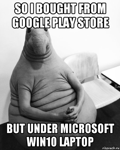 so i bought from google play store but under microsoft win10 laptop, Мем  Ждун