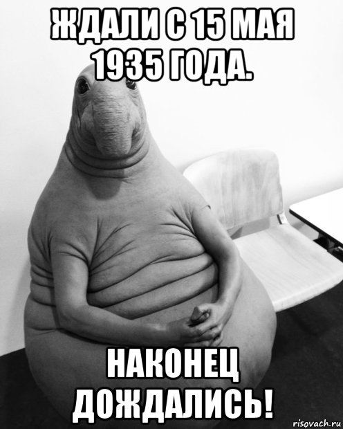 ждали с 15 мая 1935 года. наконец дождались!, Мем  Ждун