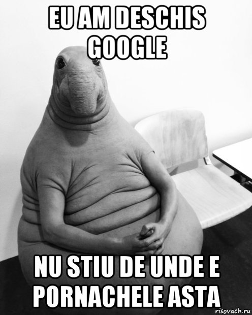 eu am deschis google nu stiu de unde e pornachele asta