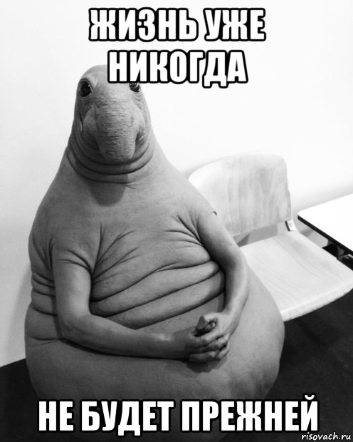 жизнь уже никогда не будет прежней