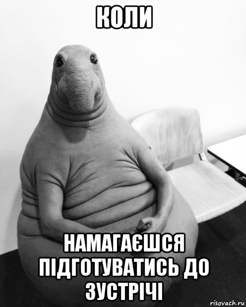 коли намагаєшся підготуватись до зустрічі, Мем  Ждун