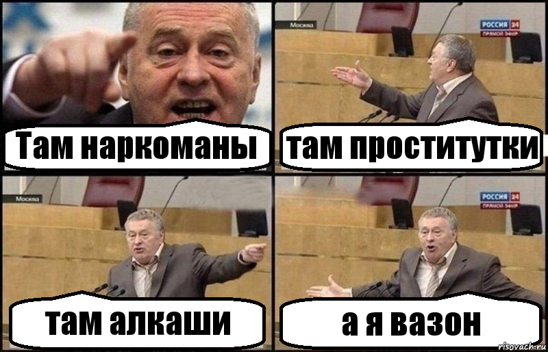 Там наркоманы там проститутки там алкаши а я вазон, Комикс Жириновский