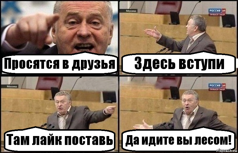 Просятся в друзья Здесь вступи Там лайк поставь Да идите вы лесом!, Комикс Жириновский