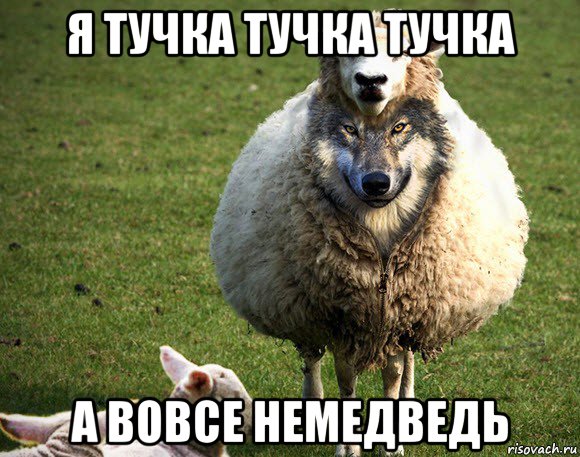 я тучка тучка тучка а вовсе немедведь, Мем Злая Овца