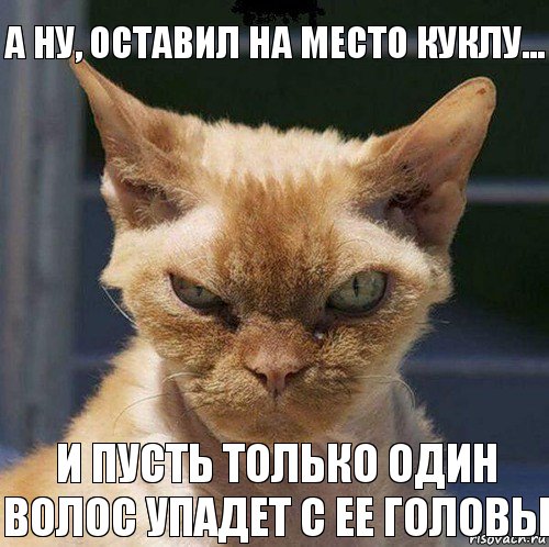 а ну, оставил на место куклу... и пусть только один волос упадет с ее головы