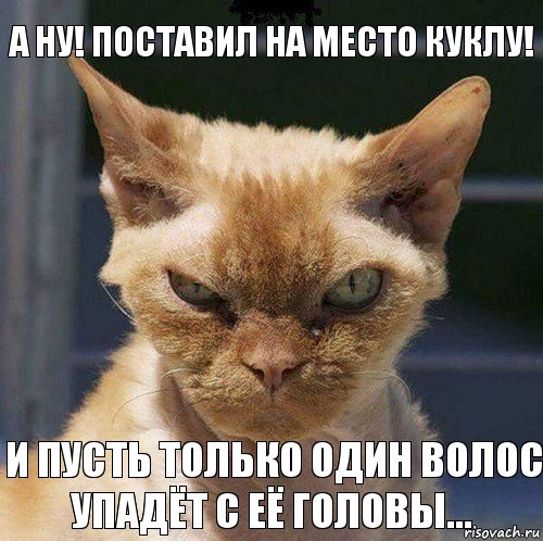 а ну! Поставил на место куклу! и пусть только один волос упадёт с её головы..., Комикс  злой кот