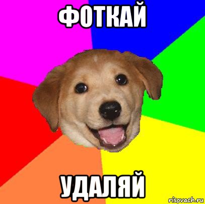 фоткай удаляй, Мем Advice Dog