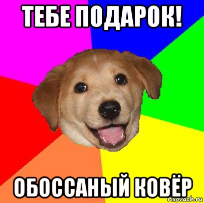 тебе подарок! обоссаный ковёр, Мем Advice Dog