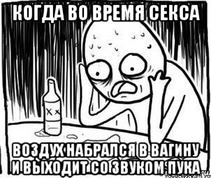 когда во время секса воздух набрался в вагину и выходит со звуком пука, Мем Алкоголик-кадр