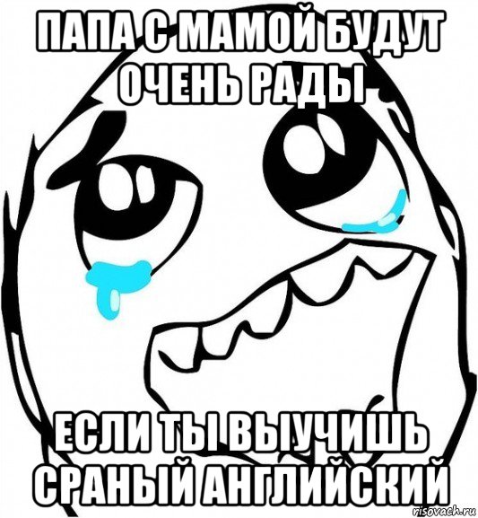 папа с мамой будут очень рады если ты выучишь сраный английский, Мем  Плачет от радости