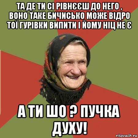 та де ти сі рівнєєш до него , воно таке бичисько може відро тої гурівки випити і йому ніц не є а ти шо ? пучка духу!, Мем  Бабушка