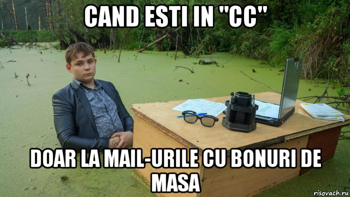 cand esti in "cc" doar la mail-urile cu bonuri de masa, Мем  Парень сидит в болоте