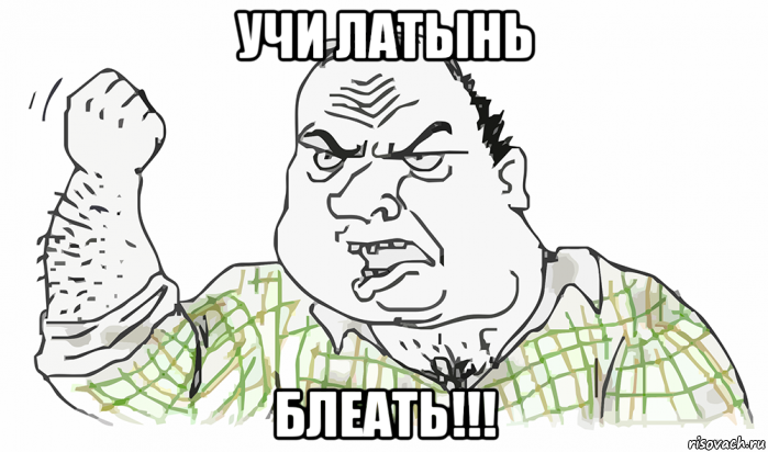 учи латынь блеать!!!, Мем Будь мужиком