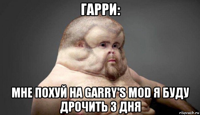 гарри: мне похуй на garry's mod я буду дрочить 3 дня, Мем  Человек который выживет в лбом ДТП