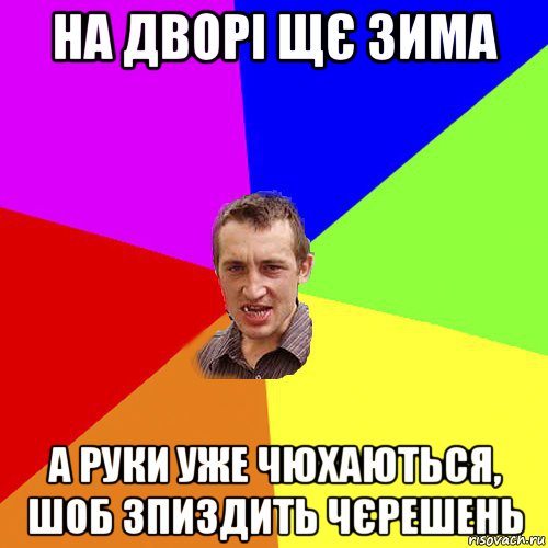 на дворі щє зима а руки уже чюхаються, шоб зпиздить чєрешень, Мем Чоткий паца