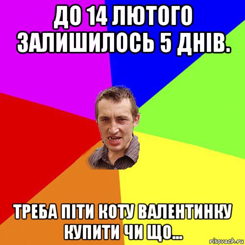 до 14 лютого залишилось 5 днів. треба піти коту валентинку купити чи що..., Мем Чоткий паца