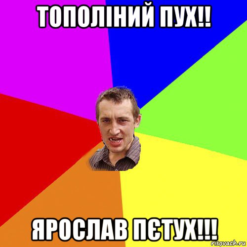 тополіний пух!! ярослав пєтух!!!, Мем Чоткий паца