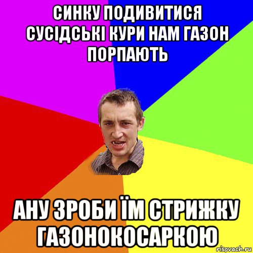 синку подивитися сусідські кури нам газон порпають ану зроби їм стрижку газонокосаркою, Мем Чоткий паца