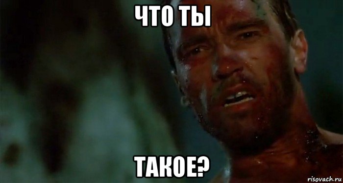 что ты такое?, Мем Что ты такое