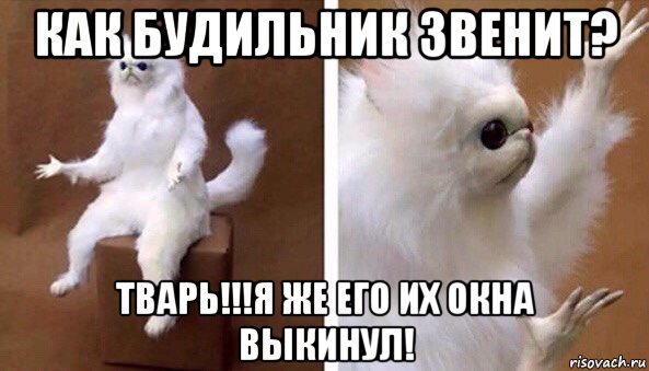 как будильник звенит? тварь!!!я же его их окна выкинул!, Мем Чучело кота