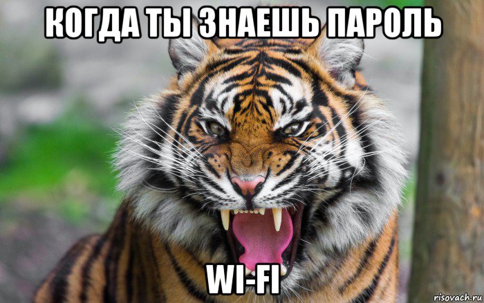 когда ты знаешь пароль wi-fi