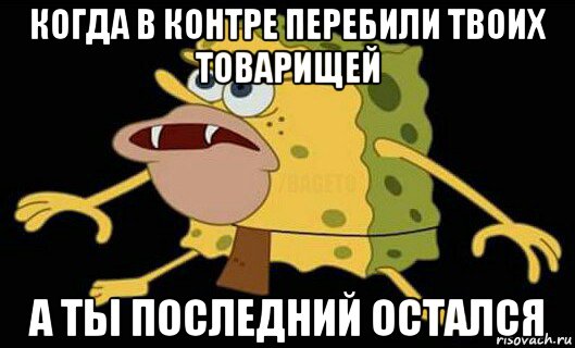 когда в контре перебили твоих товарищей а ты последний остался, Мем Дикий спанч боб