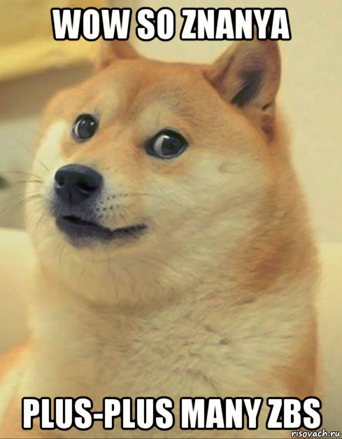 wow so znanya plus-plus many zbs, Мем doge woof