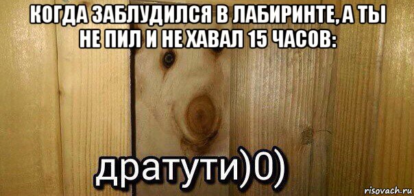 когда заблудился в лабиринте, а ты не пил и не хавал 15 часов: , Мем  Дратути