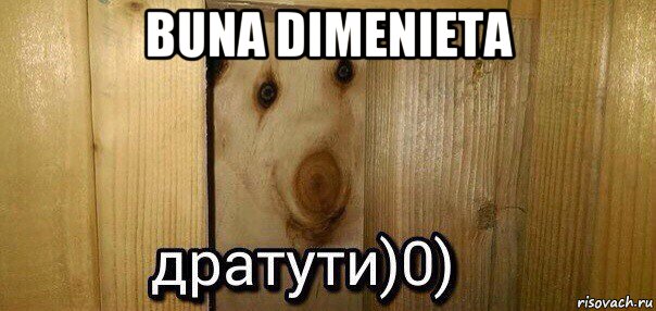 buna dimenieta , Мем  Дратути