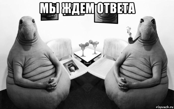 мы ждем ответа , Мем  Два ждуна