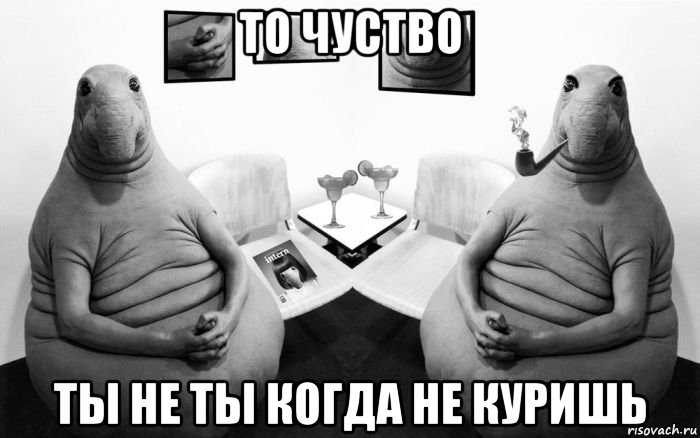 то чуство ты не ты когда не куришь