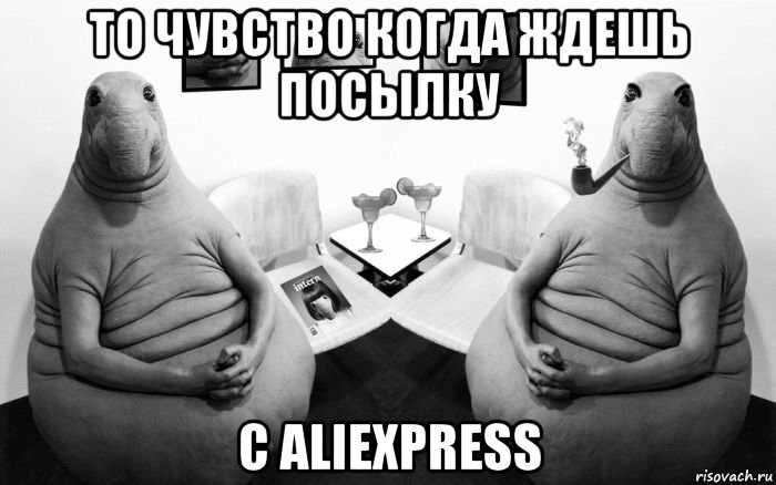 то чувство когда ждешь посылку c aliexpress, Мем  Два ждуна