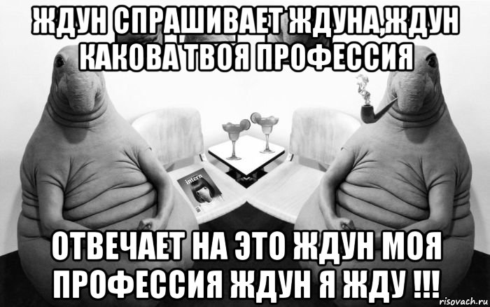 ждун спрашивает ждуна,ждун какова твоя профессия отвечает на это ждун моя профессия ждун я жду !!!