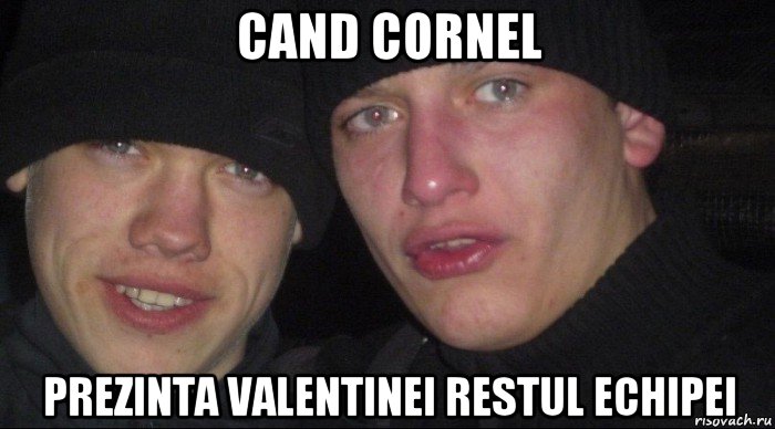 cand cornel prezinta valentinei restul echipei, Мем Ебать ты лох