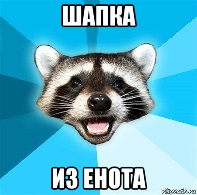 шапка из енота