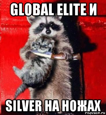 global elite и silver на ножах, Мем  енот с котенком