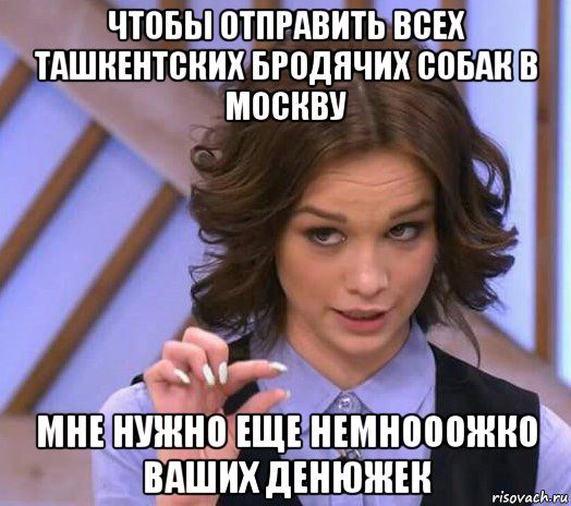 чтобы отправить всех ташкентских бродячих собак в москву мне нужно еще немнооожко ваших денюжек, Мем Шурыгина показывает на донышке