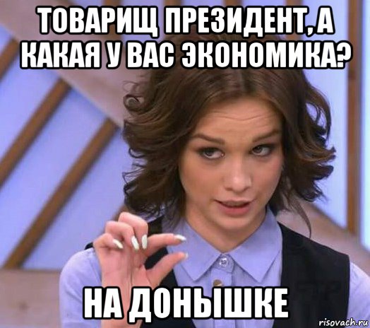 товарищ президент, а какая у вас экономика? на донышке, Мем Шурыгина показывает на донышке