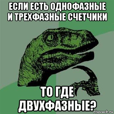 если есть однофазные и трехфазные счетчики то где двухфазные?, Мем Филосораптор