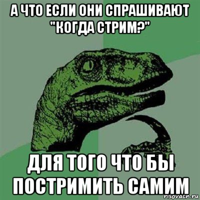 а что если они спрашивают "когда стрим?" для того что бы постримить самим, Мем Филосораптор