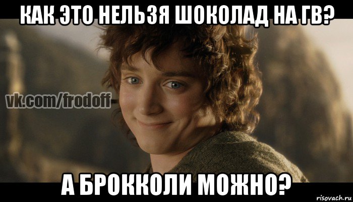 как это нельзя шоколад на гв? а брокколи можно?, Мем  Фродо