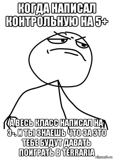 когда написал контрольную на 5+ а весь класс написал на 3-. и ты знаешь что за это тебе будут давать поиграть в terraria, Мем fuck yea