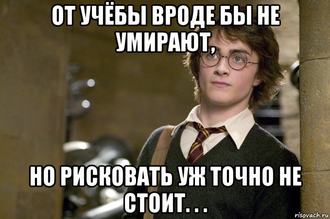 от учёбы вроде бы не умирают, но рисковать уж точно не стоит. . ., Мем Гарри Поттер в школе